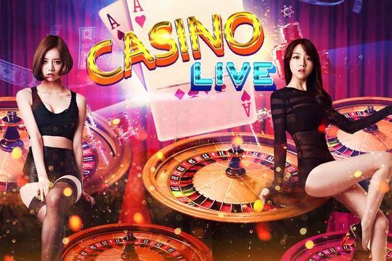 Windice Casino Live Betting